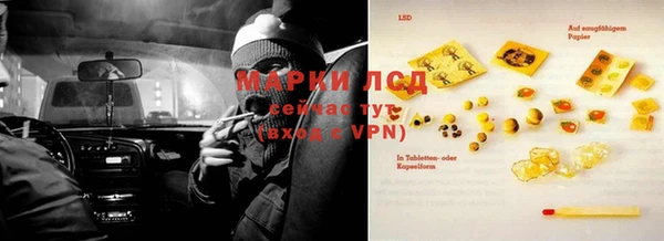 прущие грибы Арсеньев