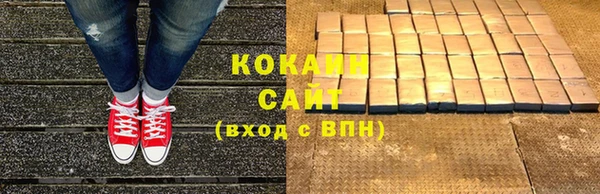 прущие грибы Арсеньев