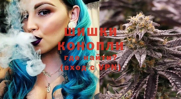 прущие грибы Арсеньев