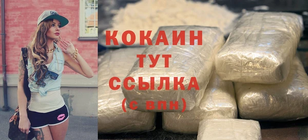 прущие грибы Арсеньев