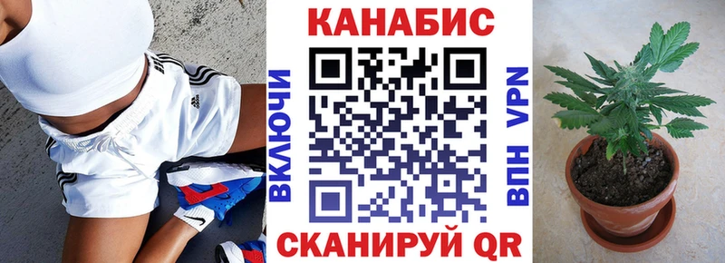 Бошки Шишки планчик  Бежецк 